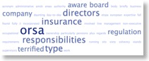 ORSA - Boards Responsibility